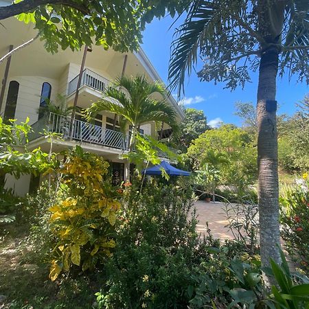 Villa Pura Vida Matapalo  エクステリア 写真