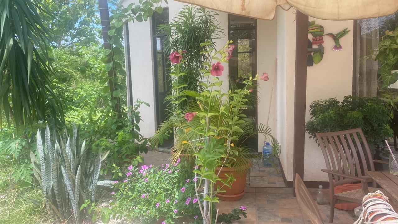 Villa Pura Vida Matapalo  エクステリア 写真