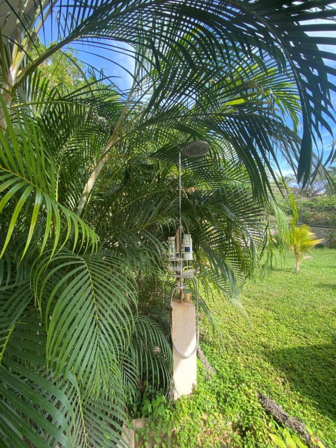 Villa Pura Vida Matapalo  エクステリア 写真