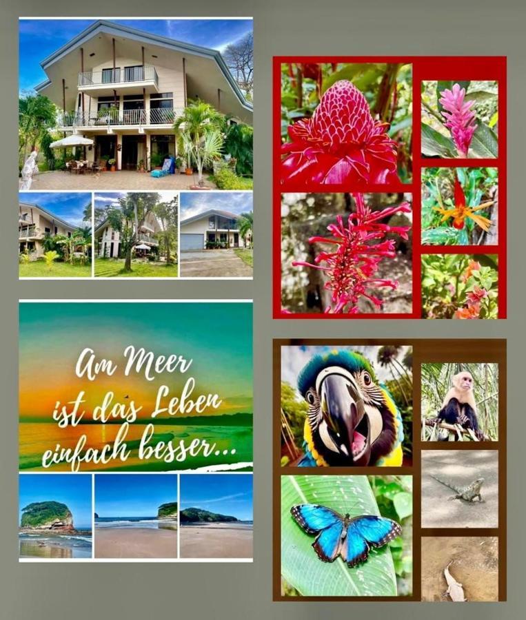 Villa Pura Vida Matapalo  エクステリア 写真