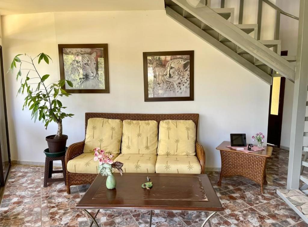 Villa Pura Vida Matapalo  エクステリア 写真