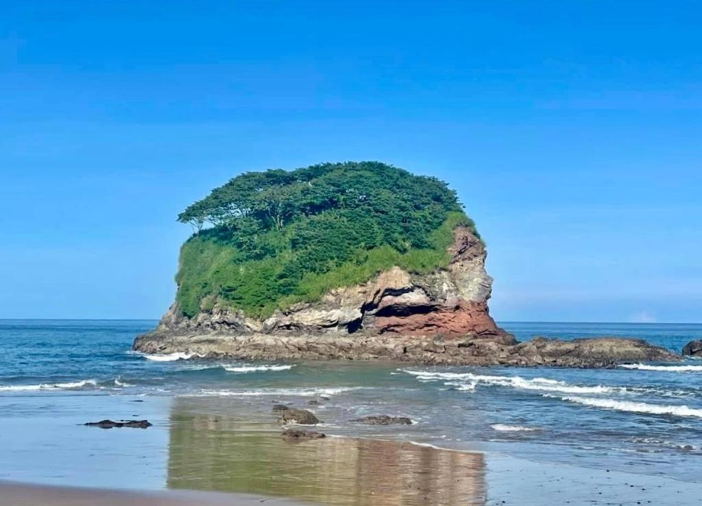 Villa Pura Vida Matapalo  エクステリア 写真