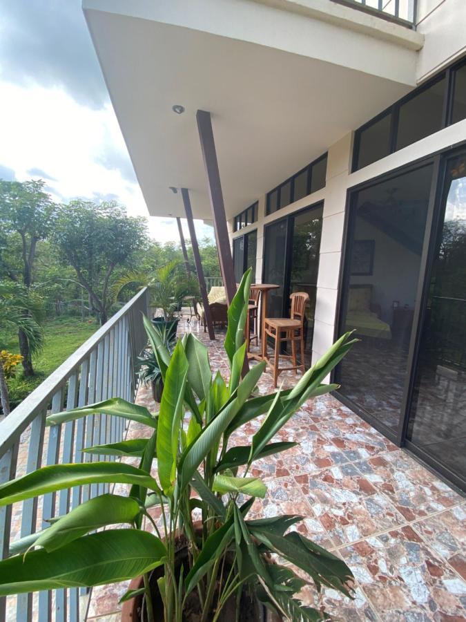 Villa Pura Vida Matapalo  エクステリア 写真