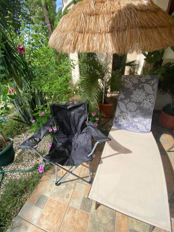 Villa Pura Vida Matapalo  エクステリア 写真
