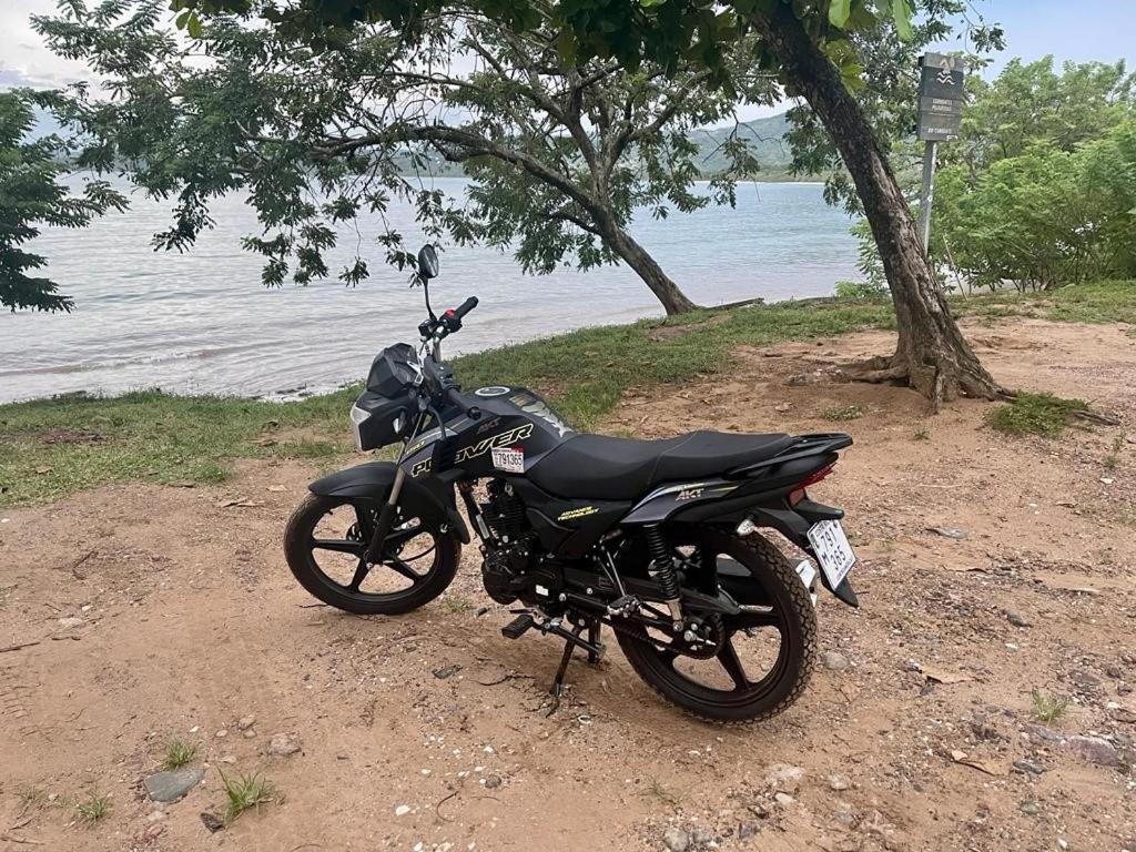 Villa Pura Vida Matapalo  エクステリア 写真