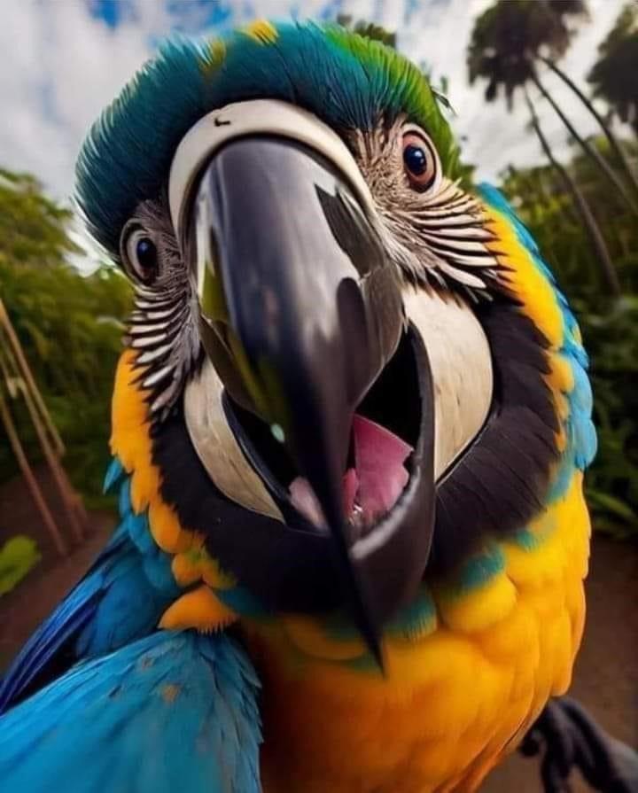 Villa Pura Vida Matapalo  エクステリア 写真