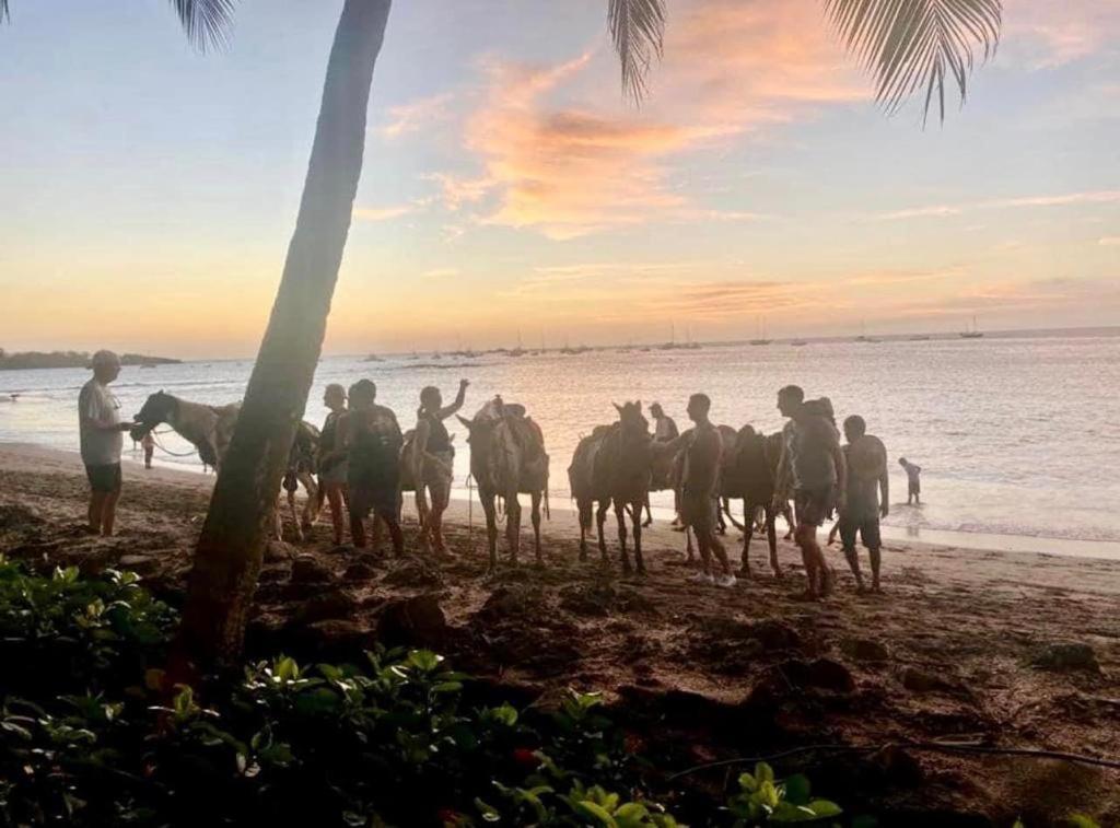 Villa Pura Vida Matapalo  エクステリア 写真