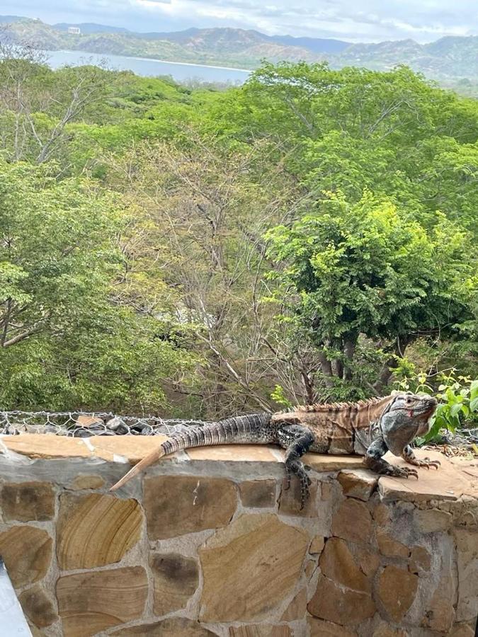 Villa Pura Vida Matapalo  エクステリア 写真