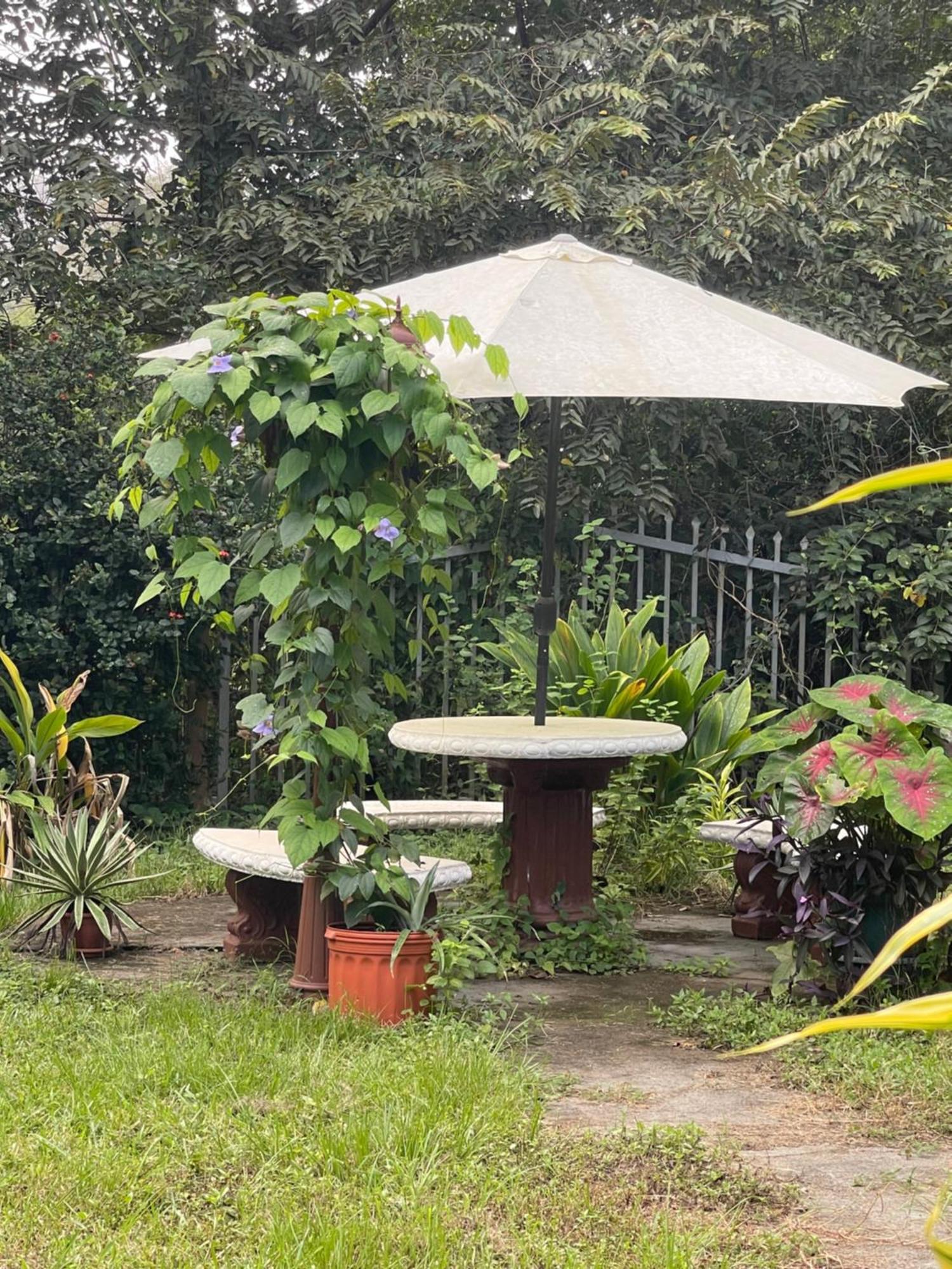 Villa Pura Vida Matapalo  エクステリア 写真
